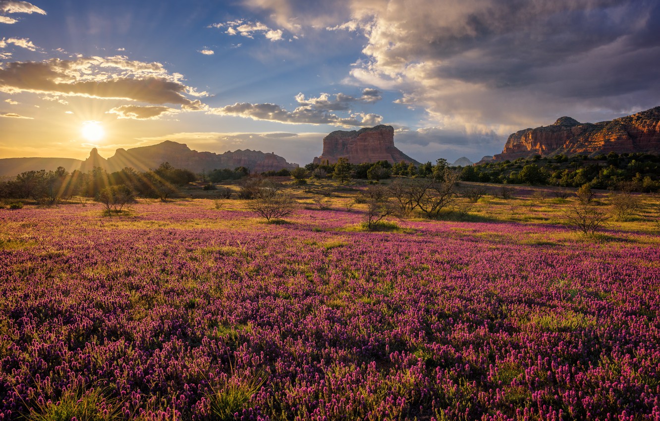 Sedona Wallpapers