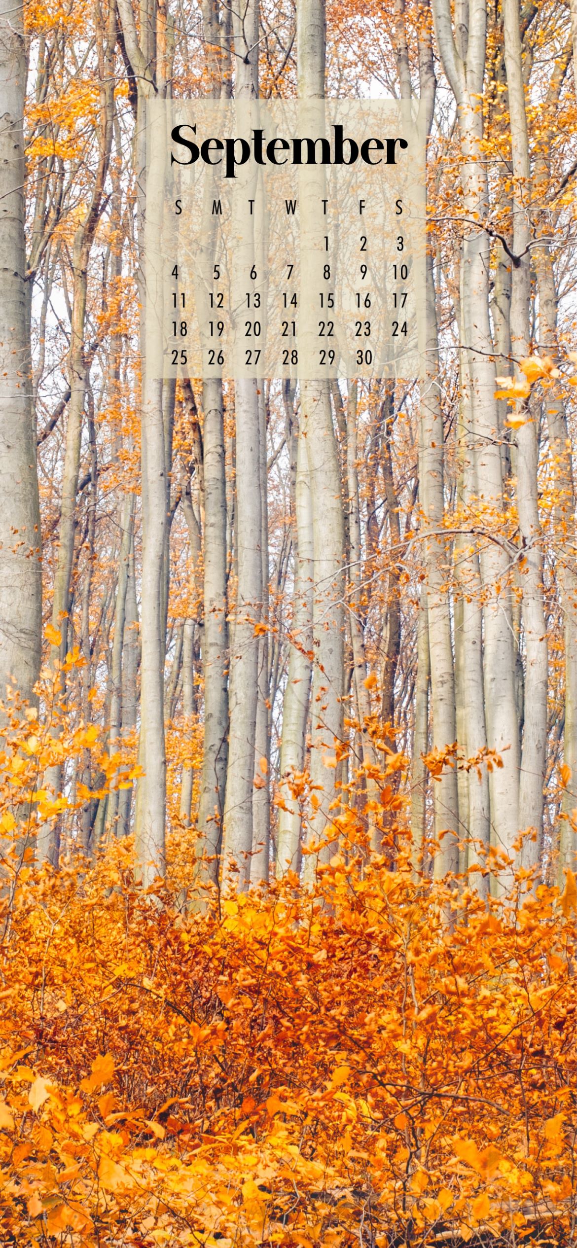 September Autumn Wallpapers