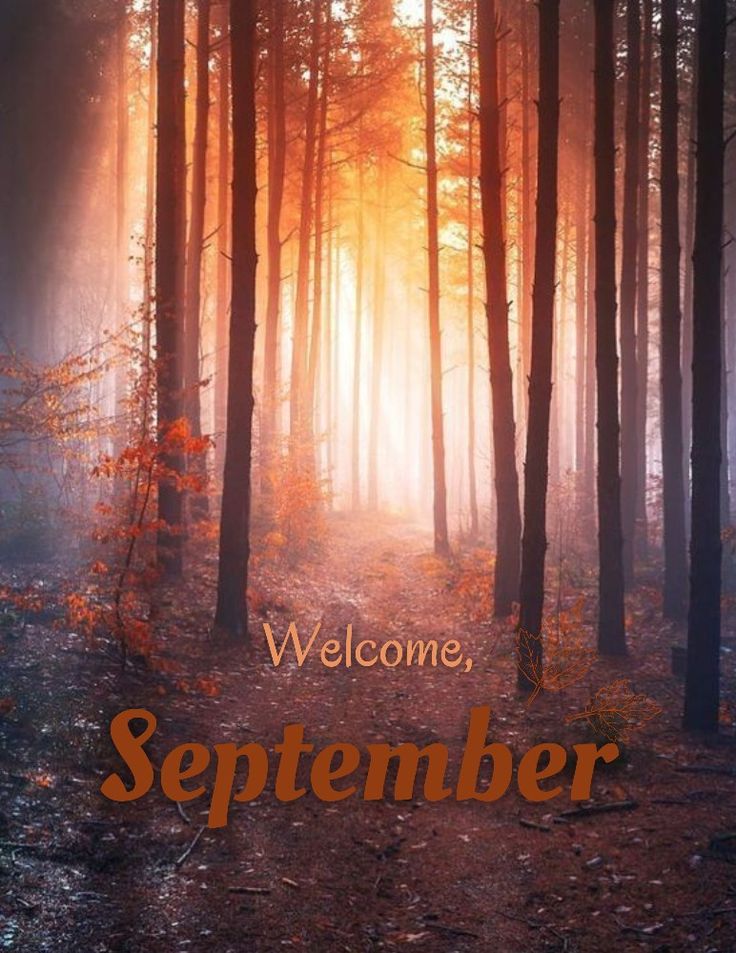 September Autumn Wallpapers