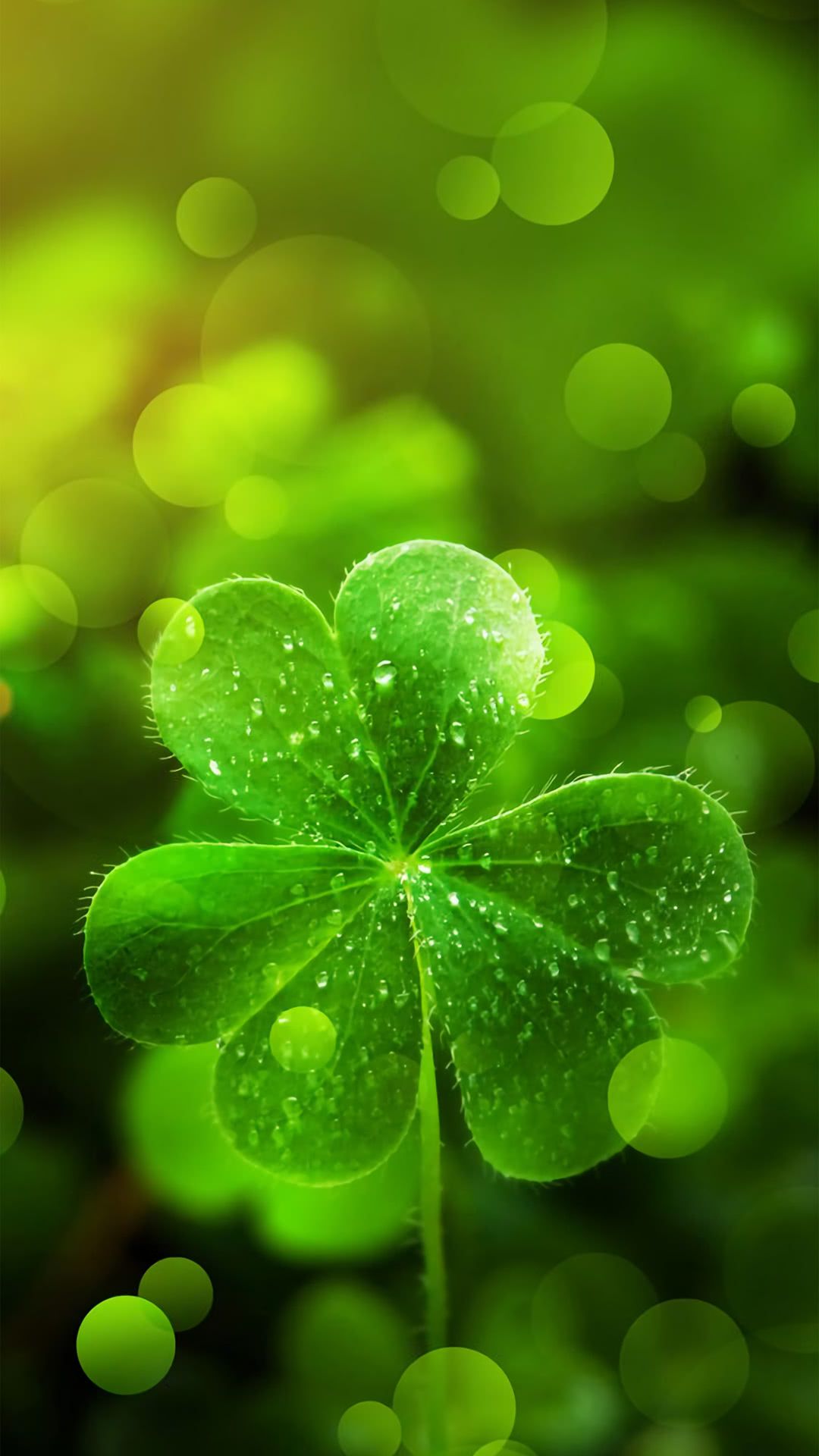 Shamrock Iphone Wallpapers