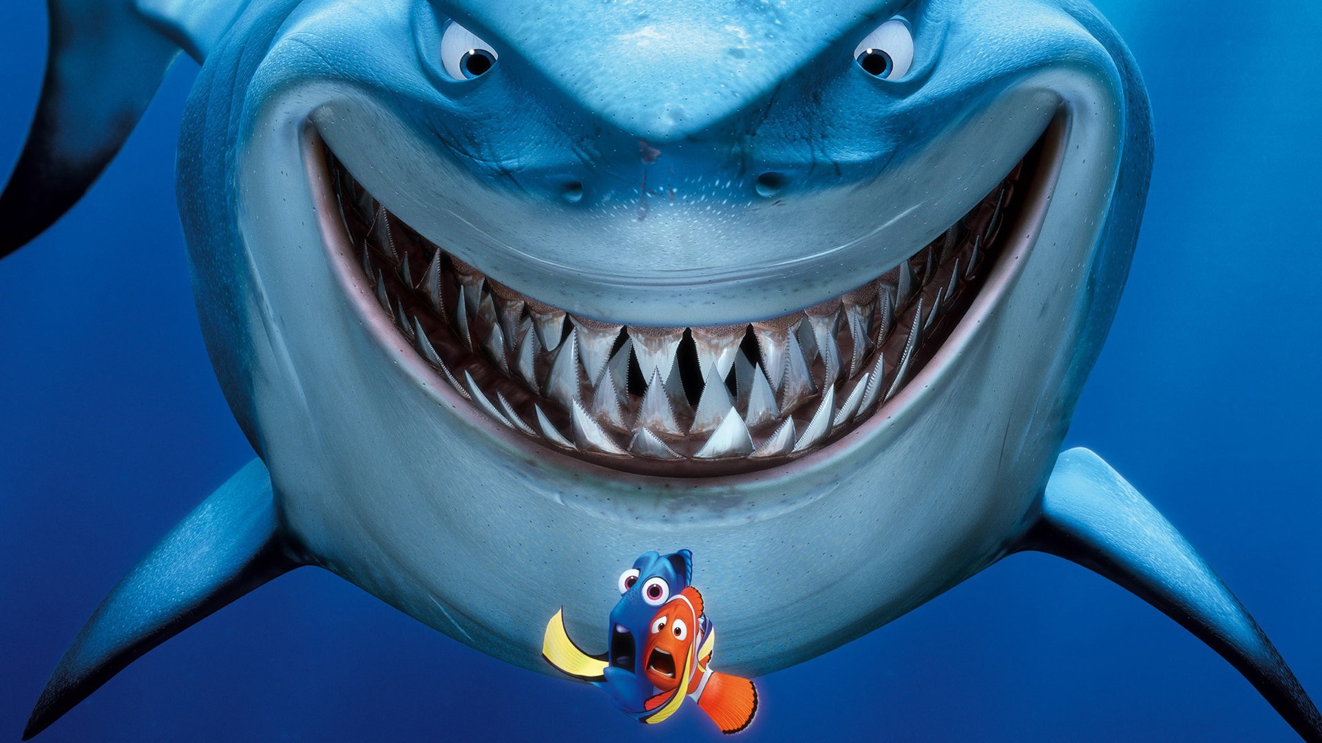 Shark From Nemo Wallpapers