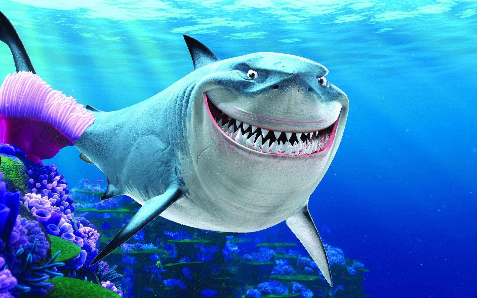 Shark From Nemo Wallpapers