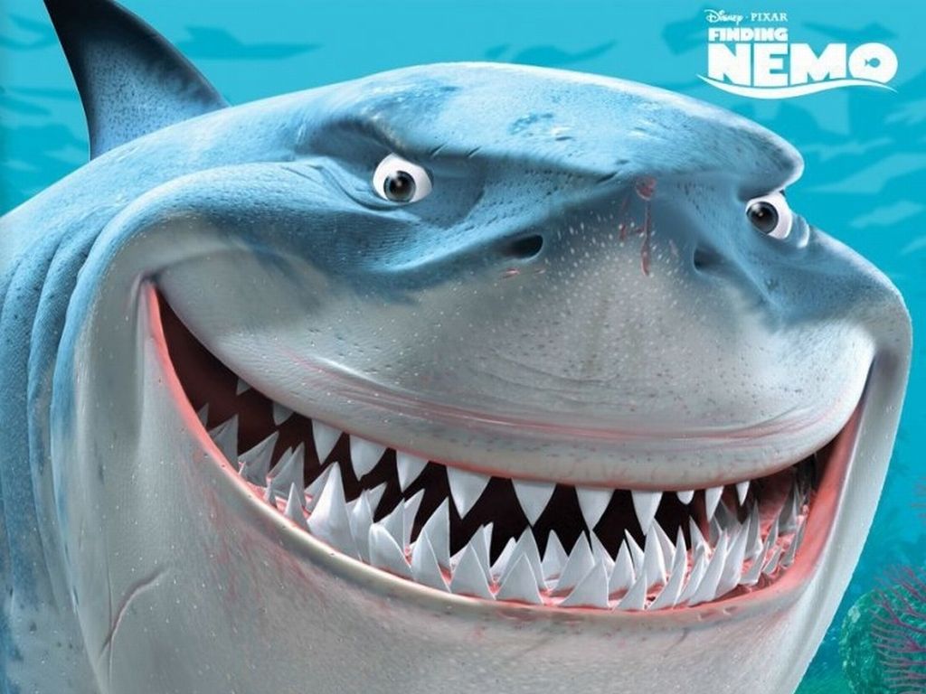 Shark From Nemo Wallpapers