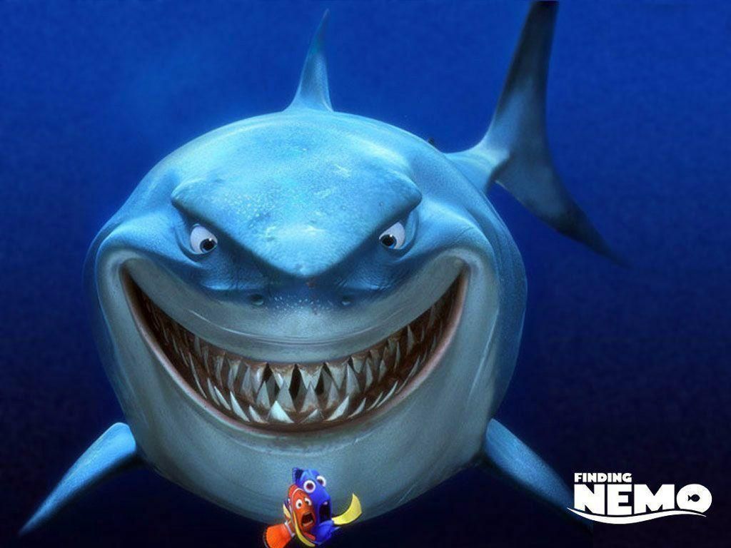 Shark From Nemo Wallpapers