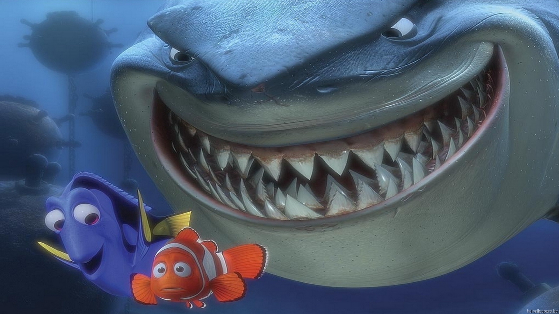 Shark From Nemo Wallpapers