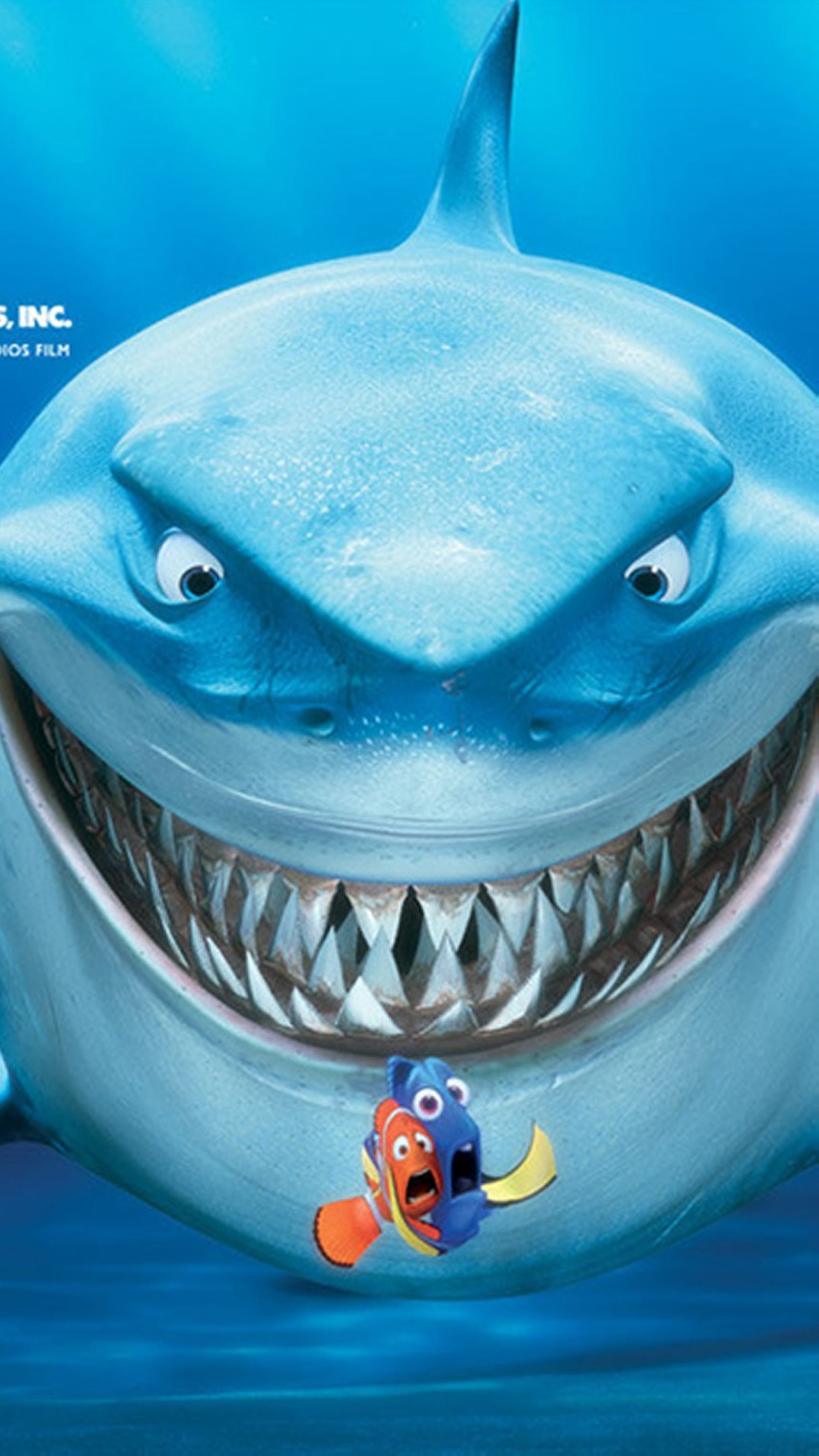 Shark From Nemo Wallpapers