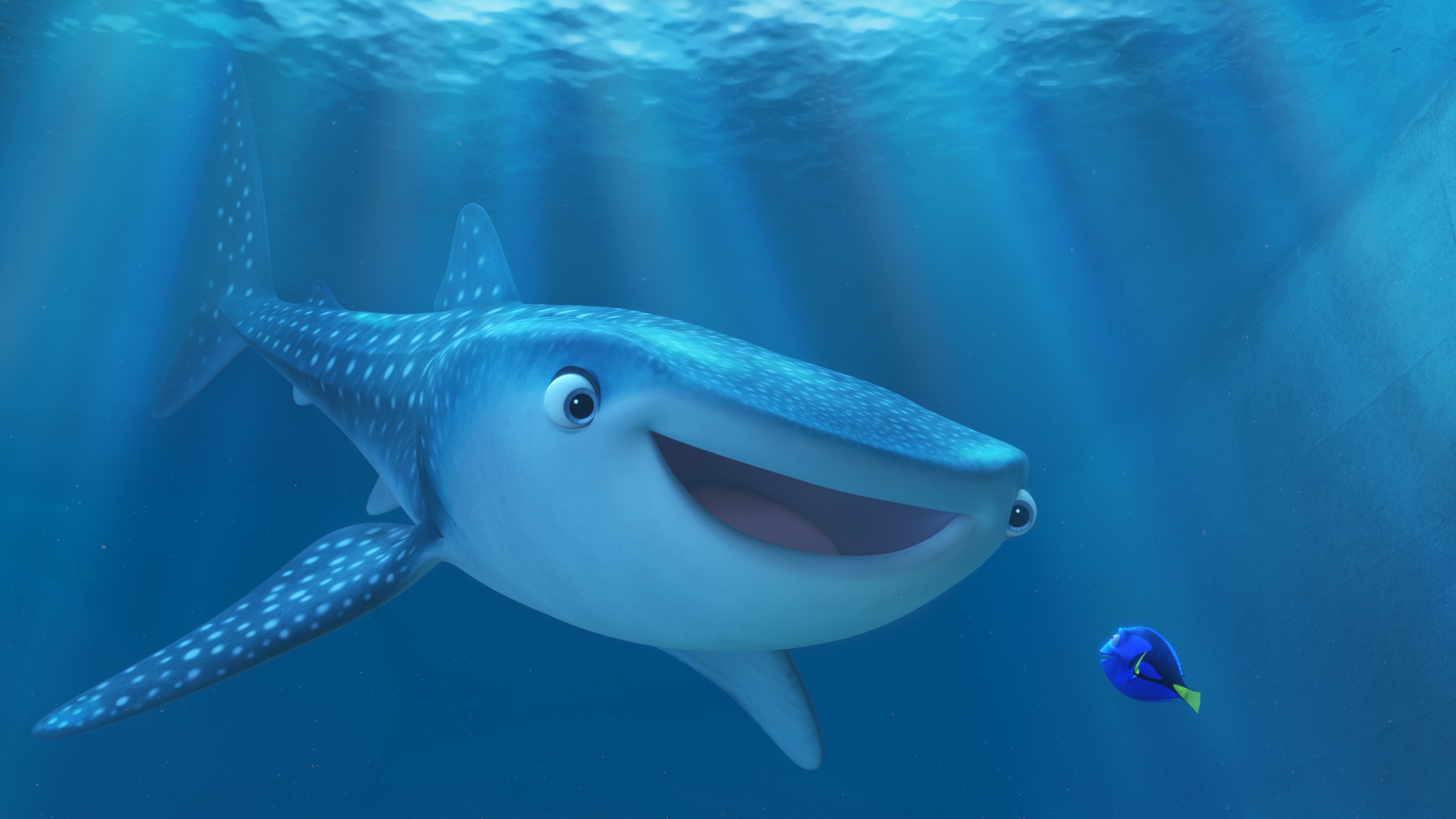 Shark From Nemo Wallpapers