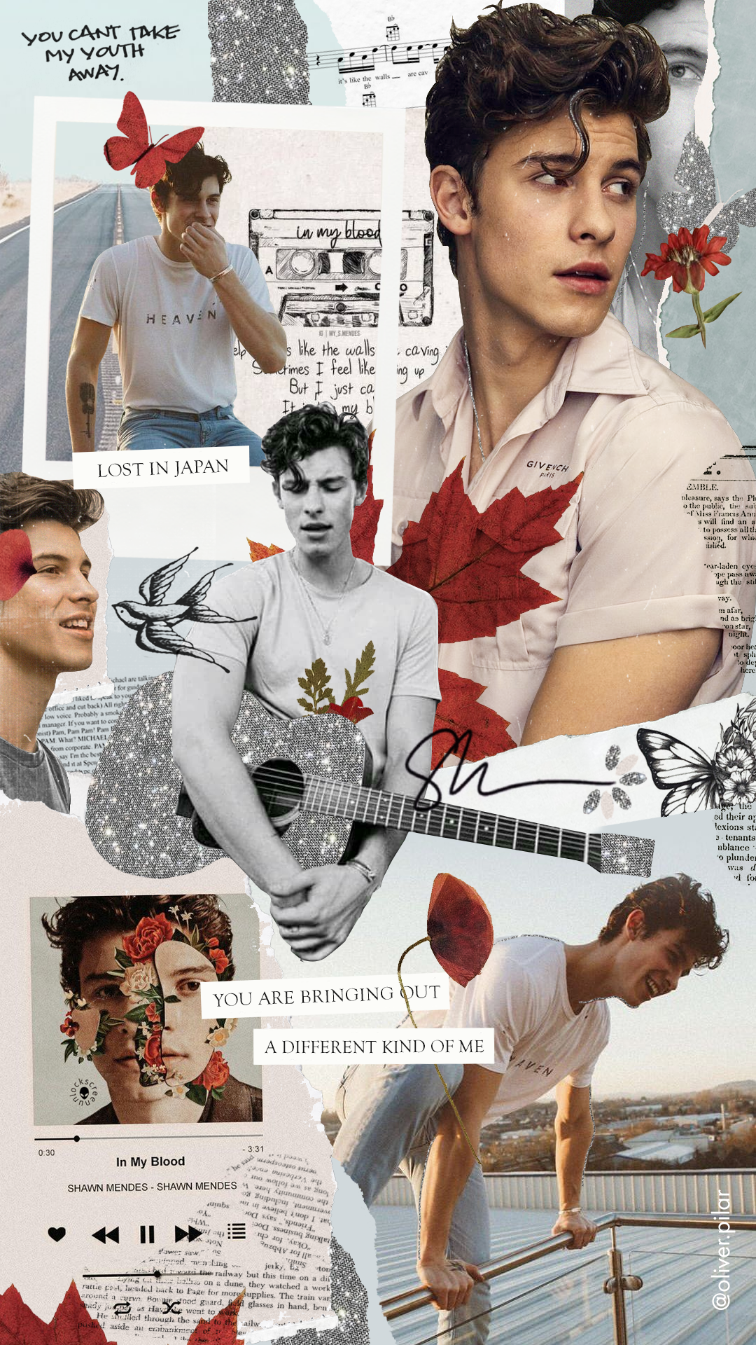 Shawn Mendes Collage Wallpapers