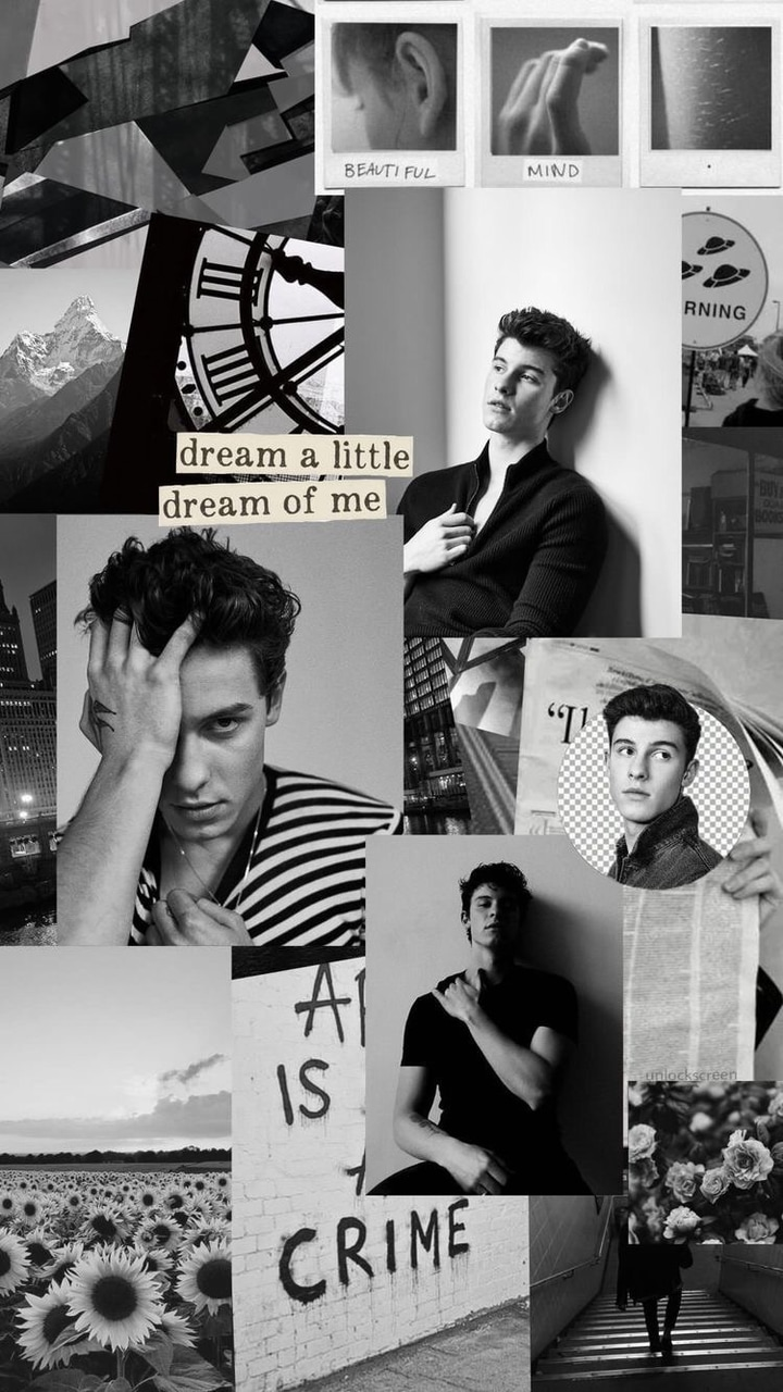 Shawn Mendes Collage Wallpapers