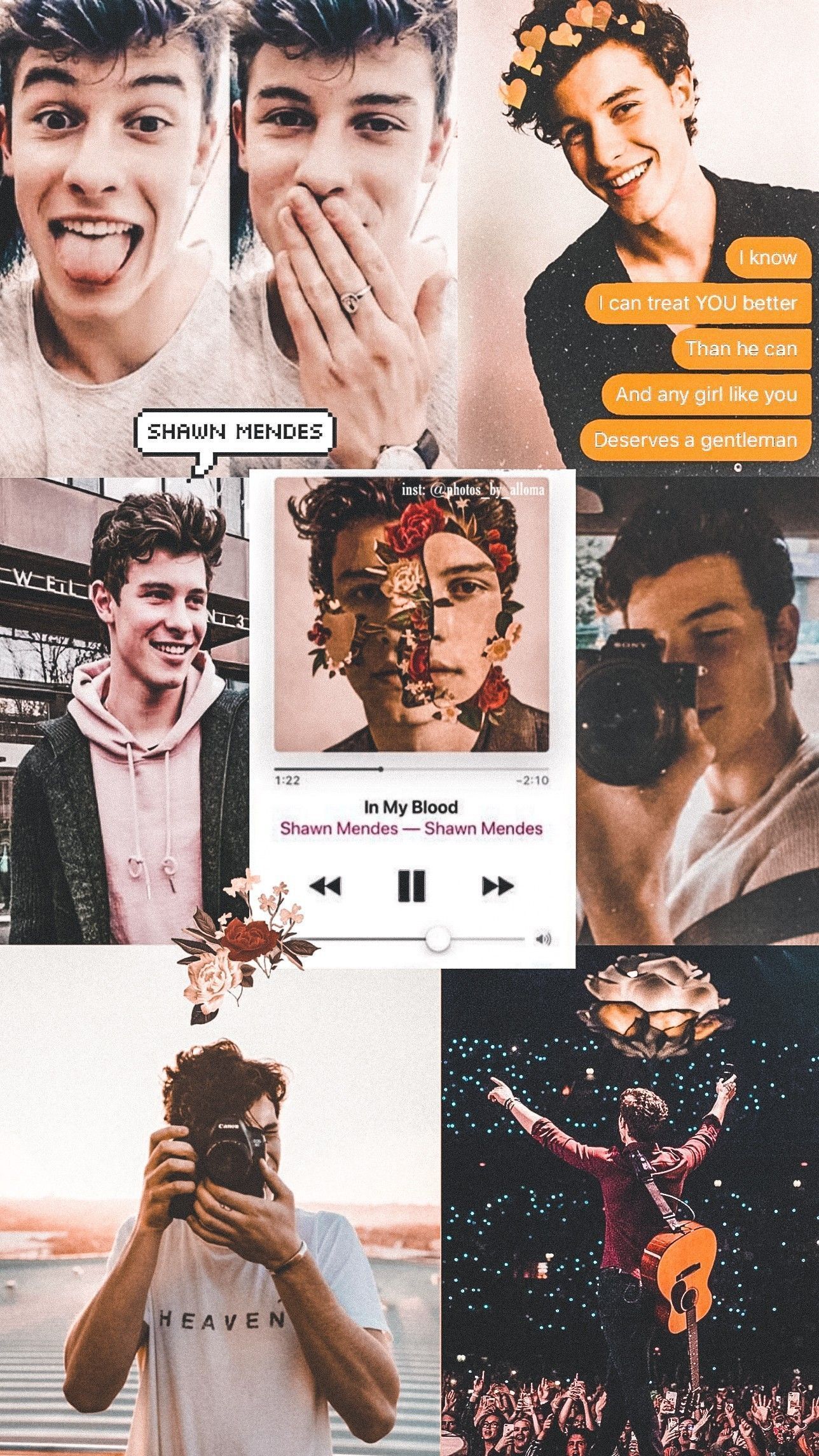 Shawn Mendes Collage Wallpapers