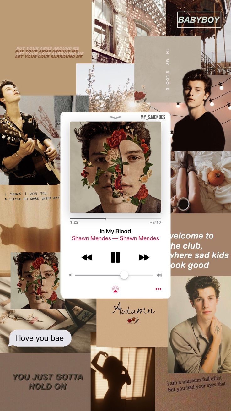 Shawn Mendes Collage Wallpapers