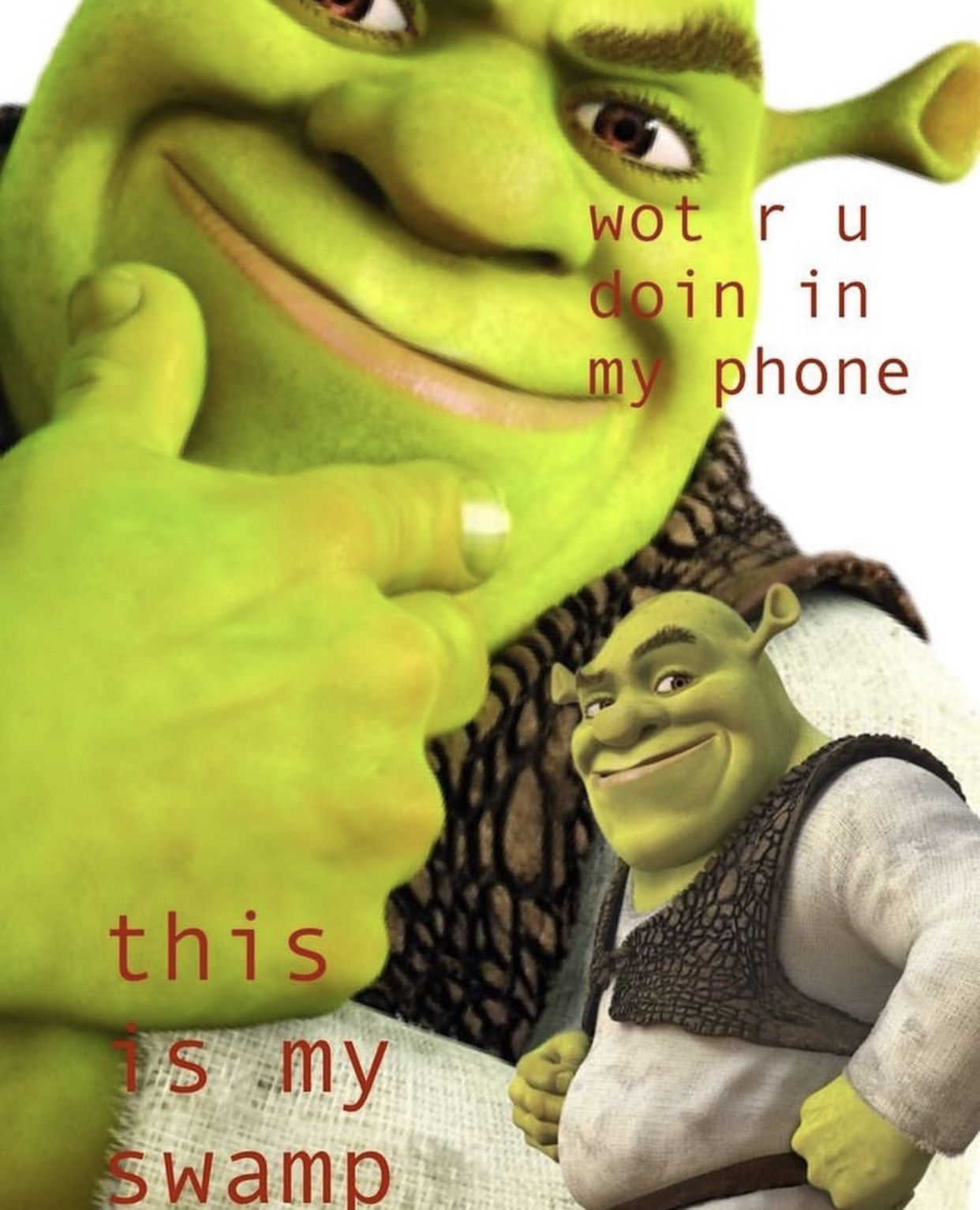 Shrek Funny Pictures Wallpapers