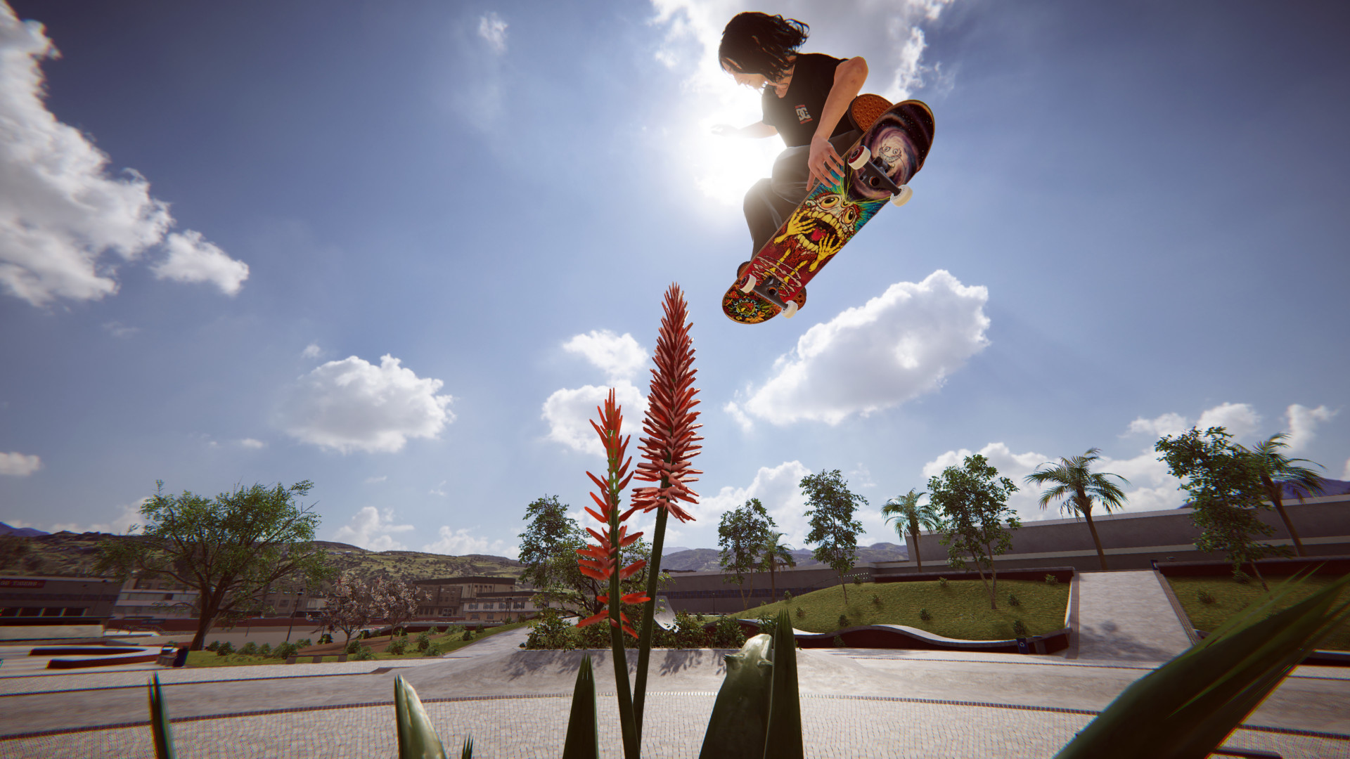 Skater Xl Wallpapers