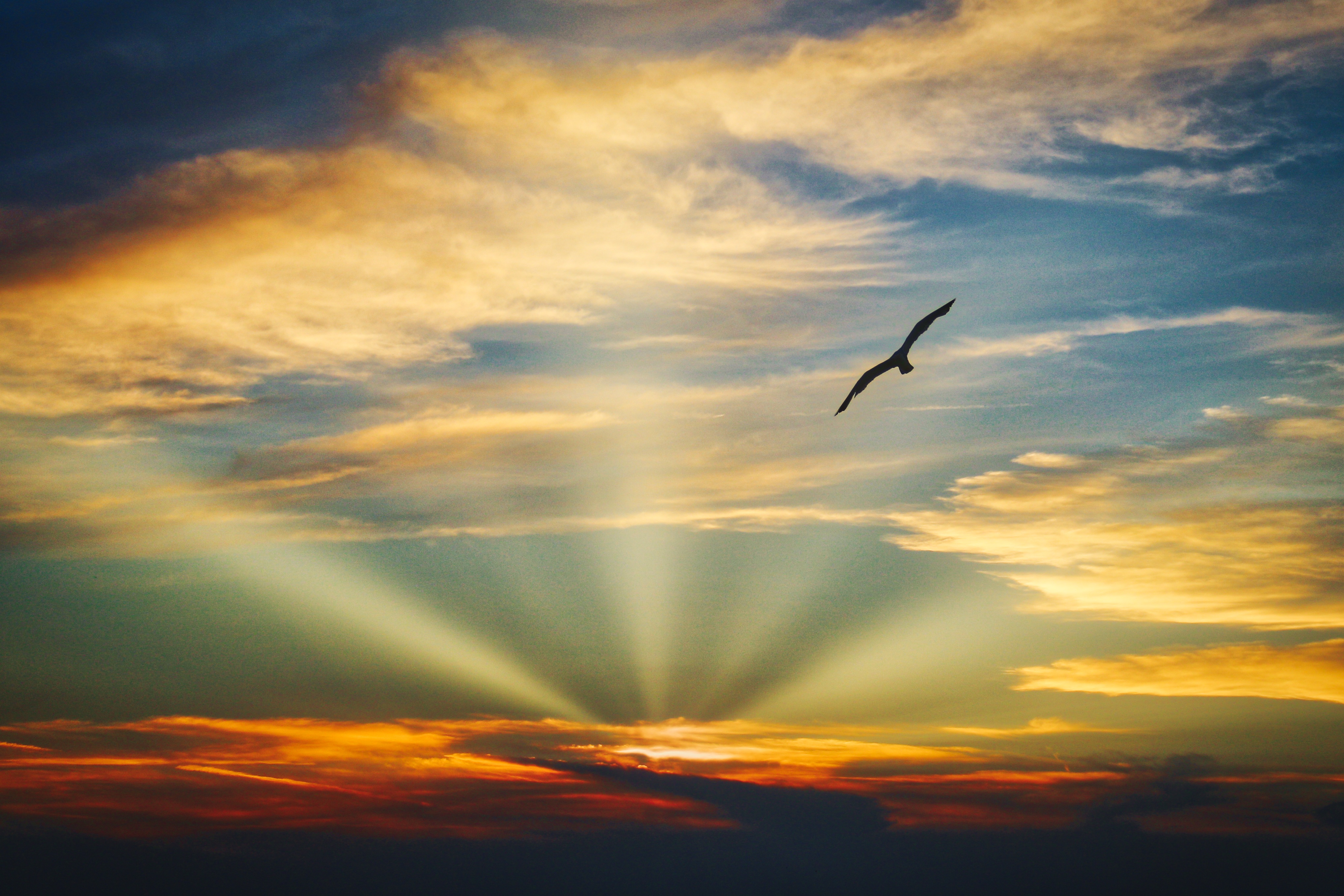 Sky With Birds Wallpapers