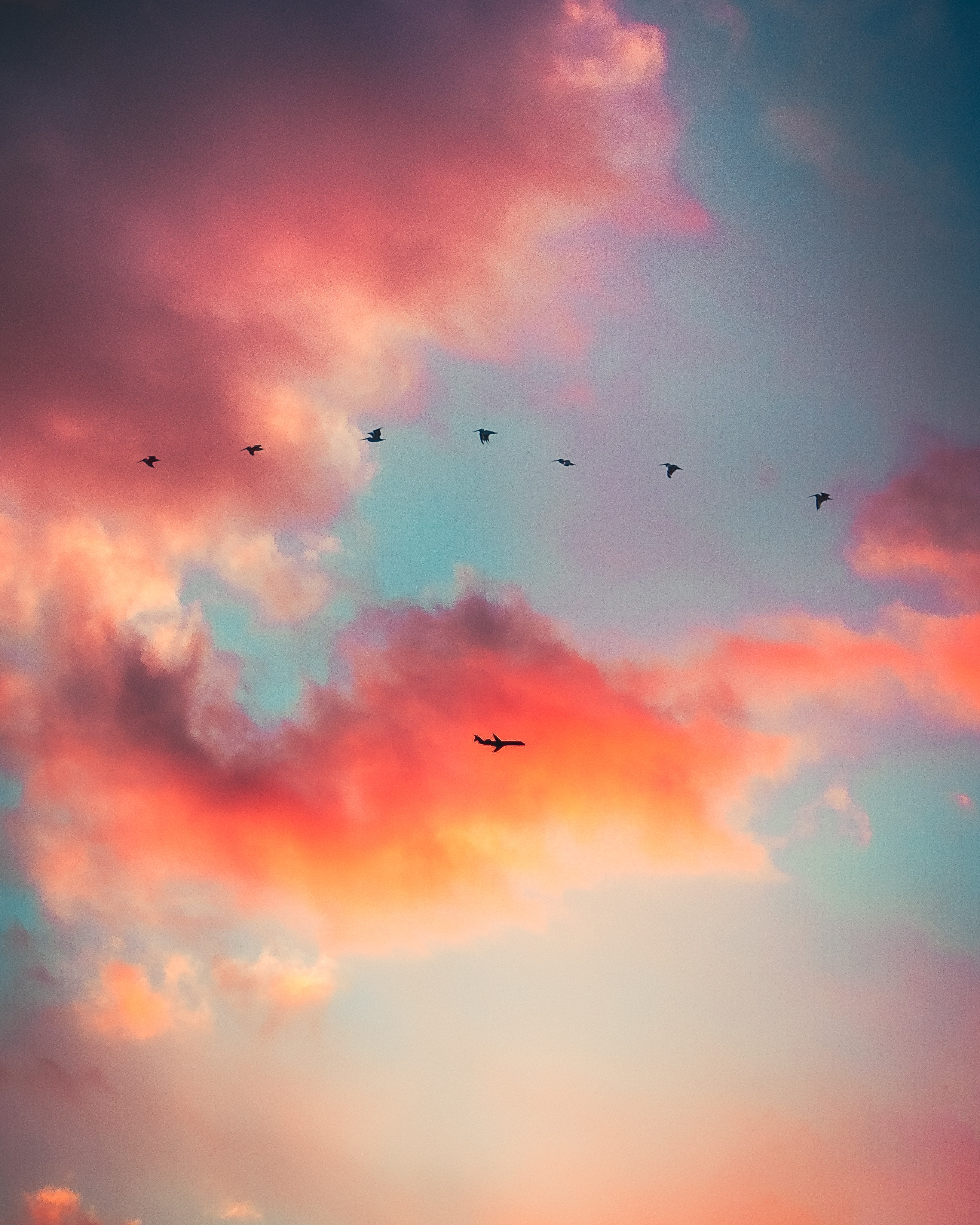 Sky With Birds Wallpapers