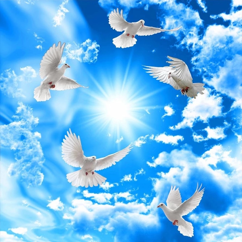 Sky With Birds Wallpapers