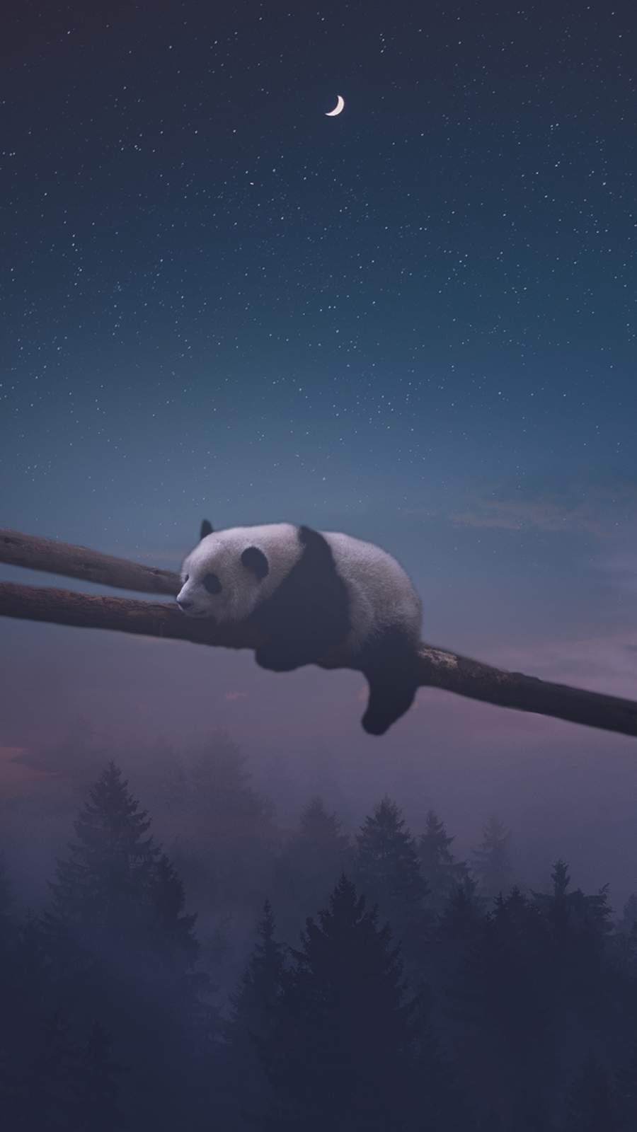 Sleepy Panda Wallpapers