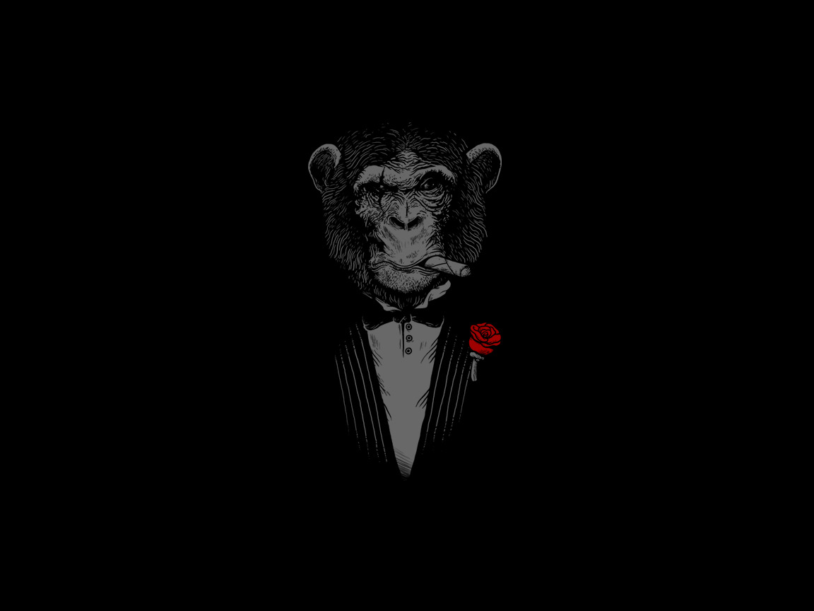 Smoking Monkey Wallpapers