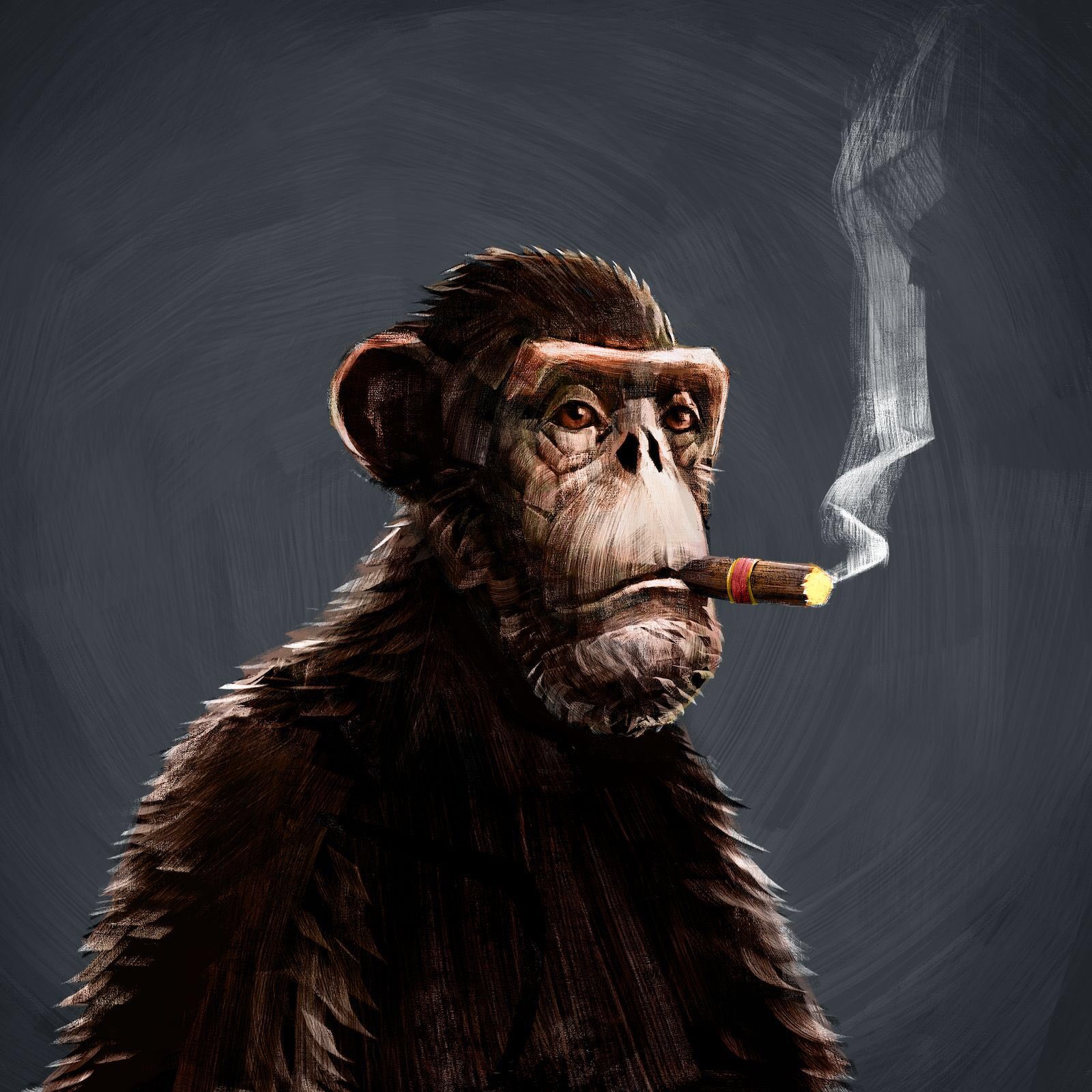 Smoking Monkey Wallpapers