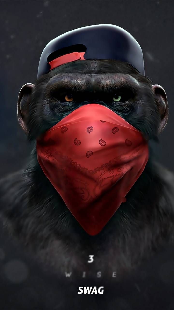 Smoking Monkey Wallpapers