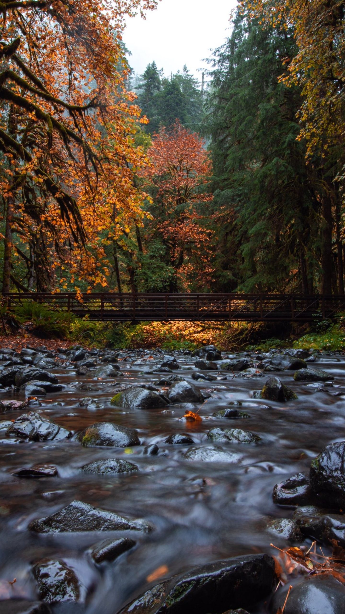 Smoky Mountains Iphone Wallpapers