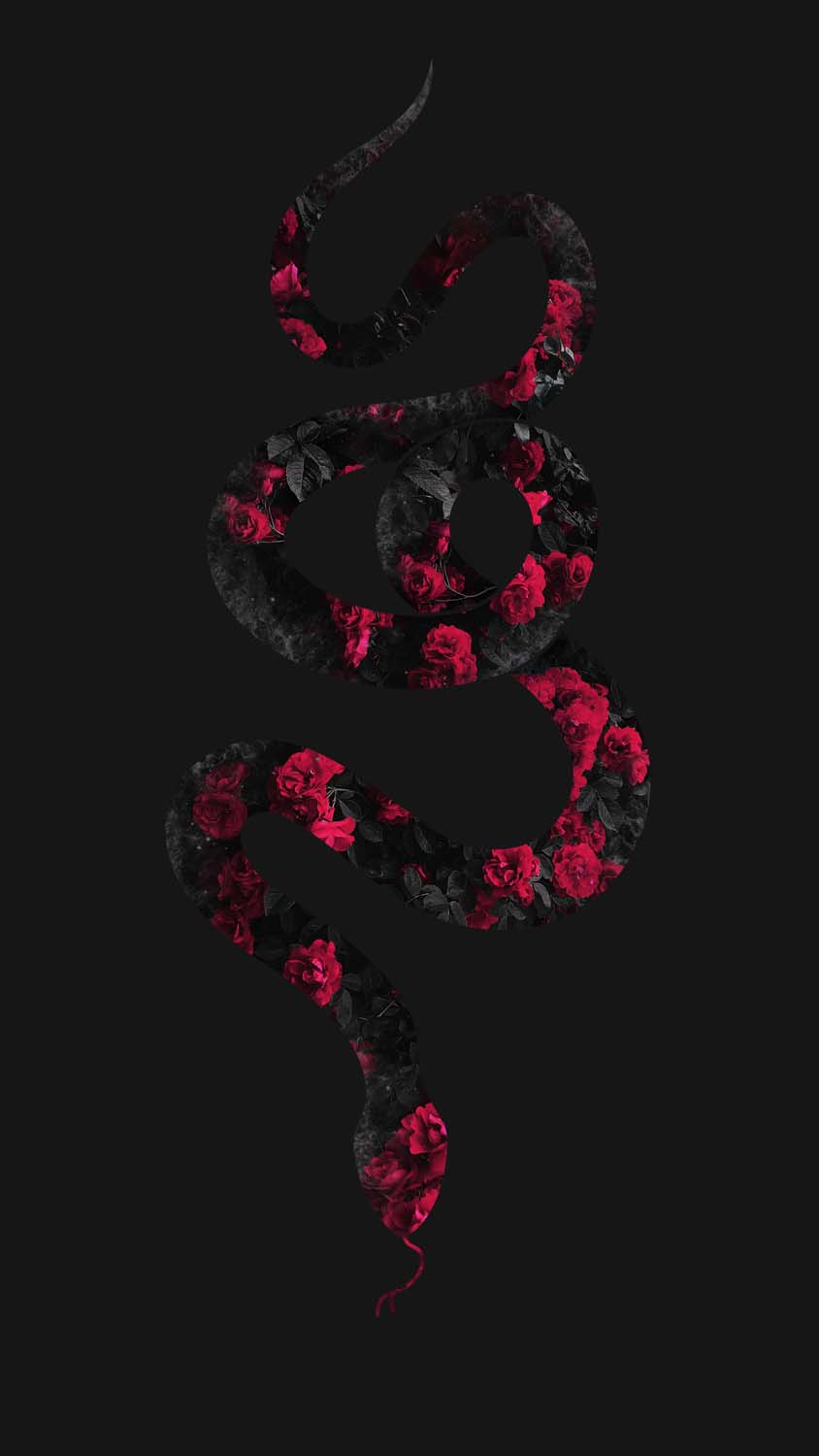 Snake And Rose Wallpapers
