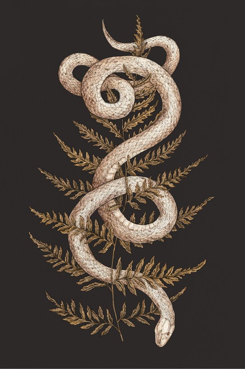 Snake Art Tattoo Wallpapers