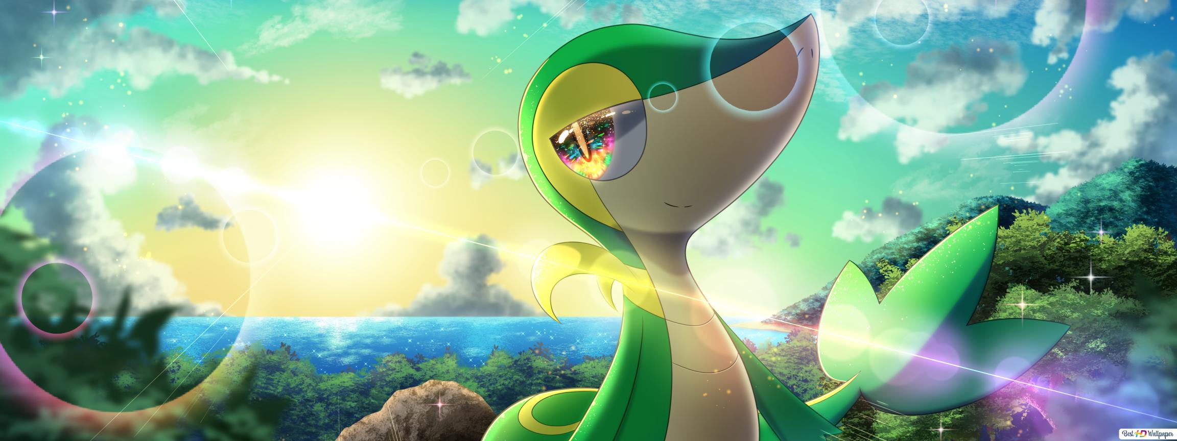 Snivy Wallpapers