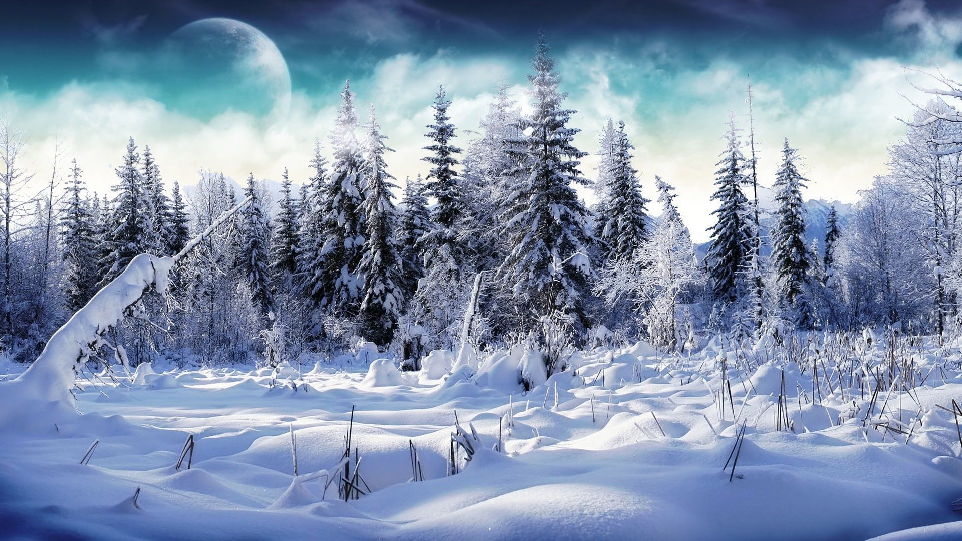 Snow 1920X1080 Wallpapers