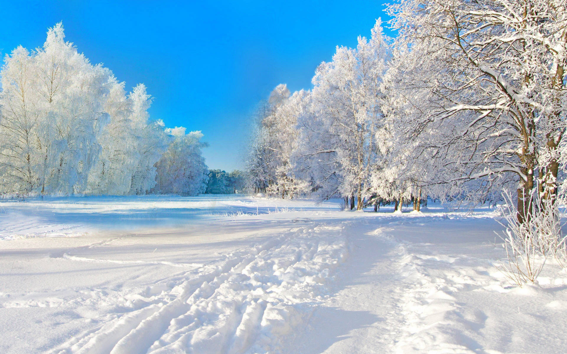 Snow Desktops Wallpapers