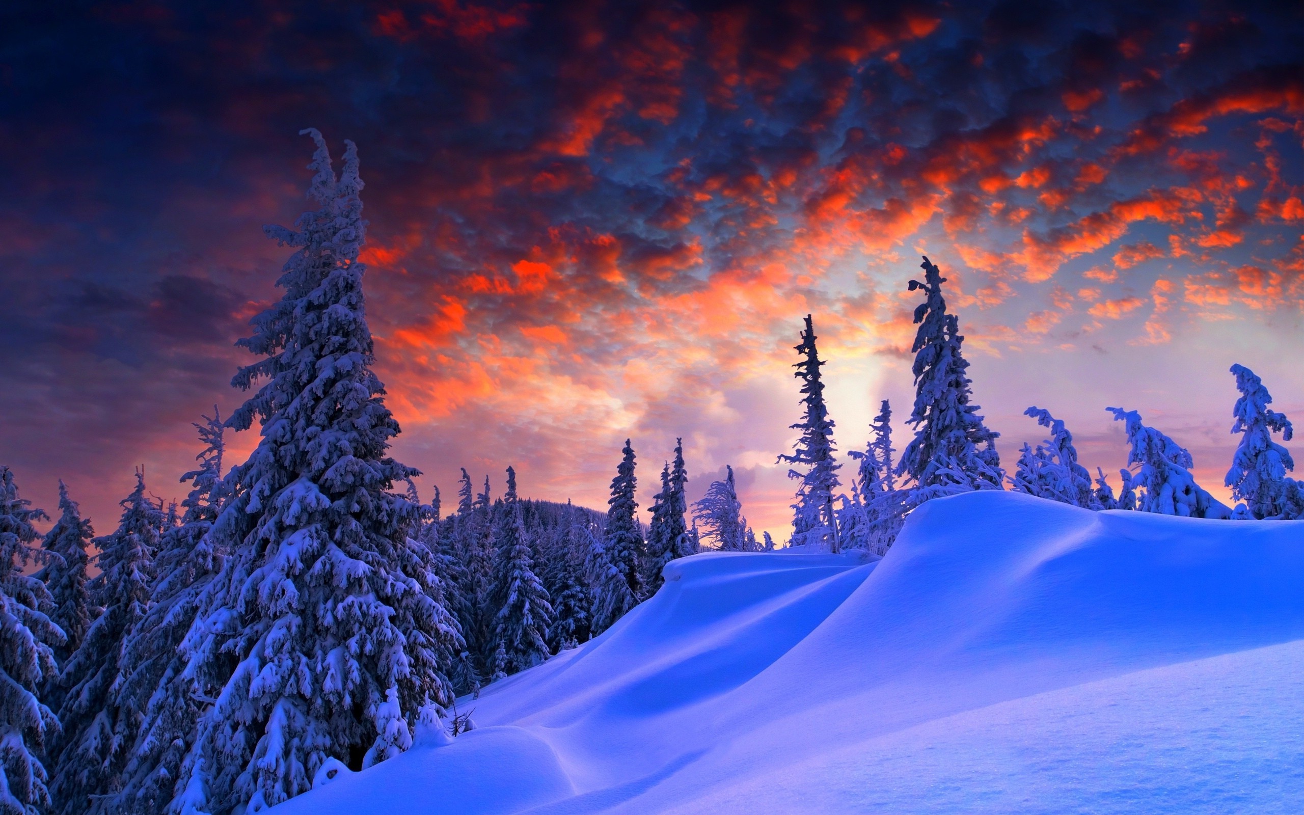 Snow Desktops Wallpapers