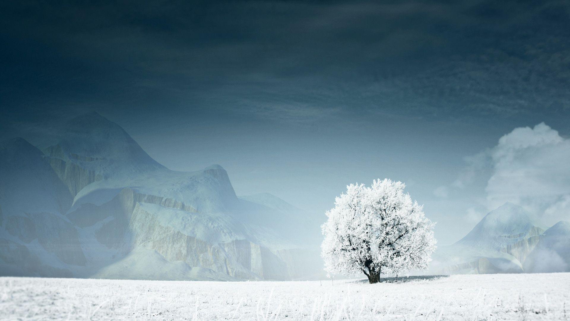 Snow Desktops Wallpapers