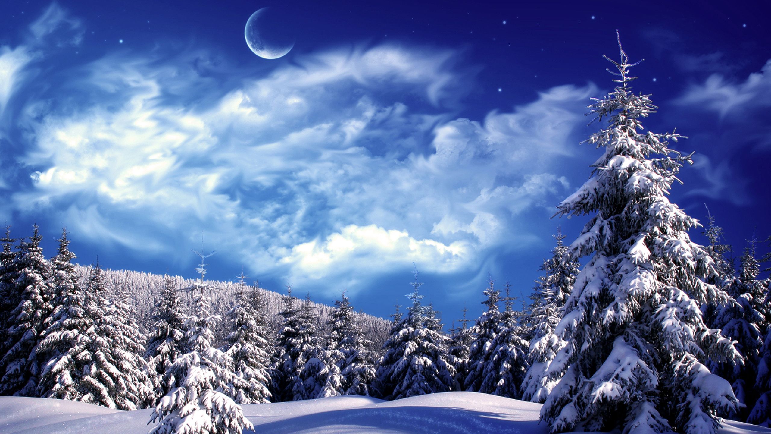 Snow Desktops Wallpapers