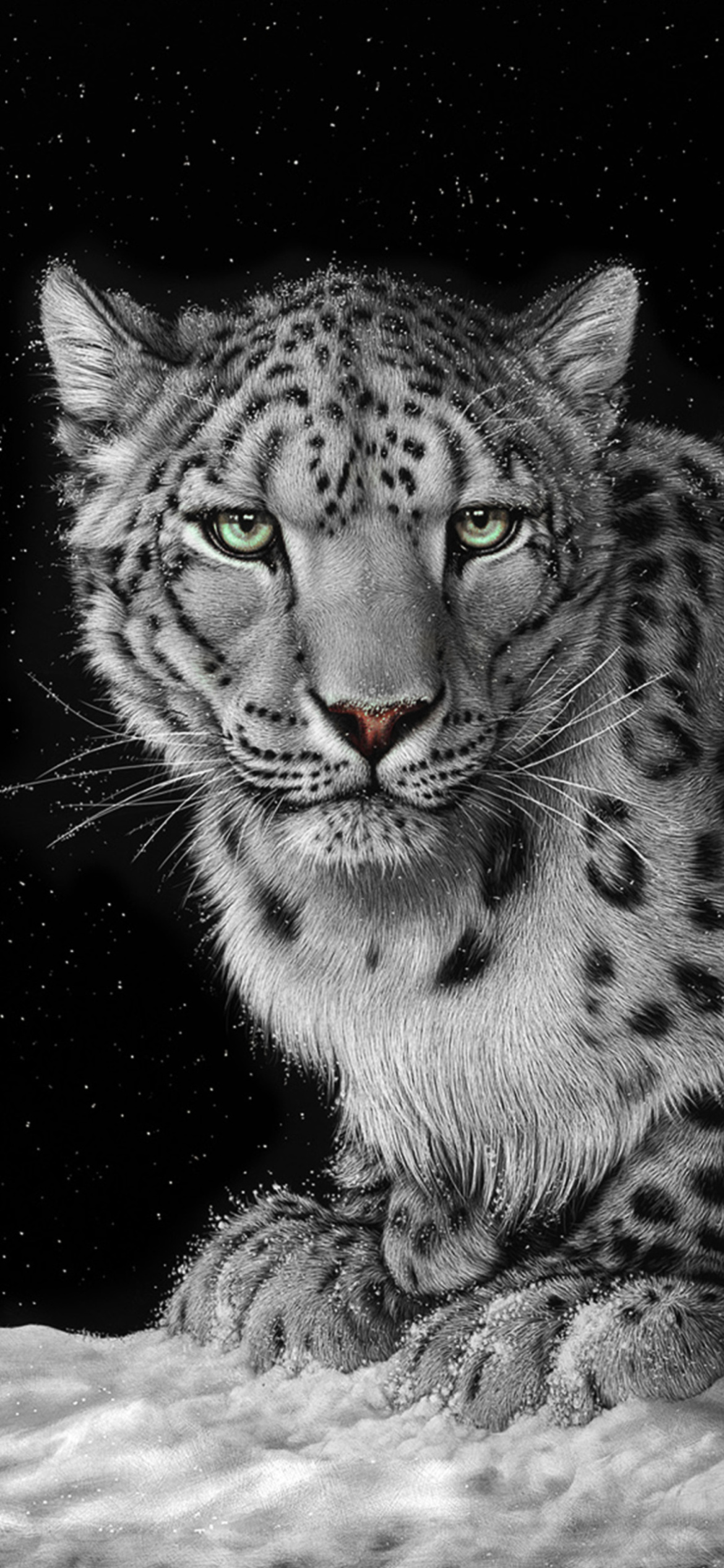 Snow Leopard Iphone Wallpapers