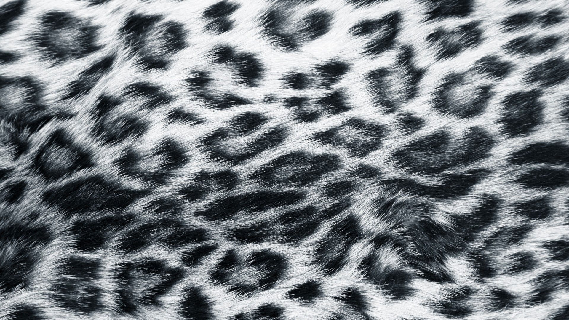 Snow Leopard Print Wallpapers