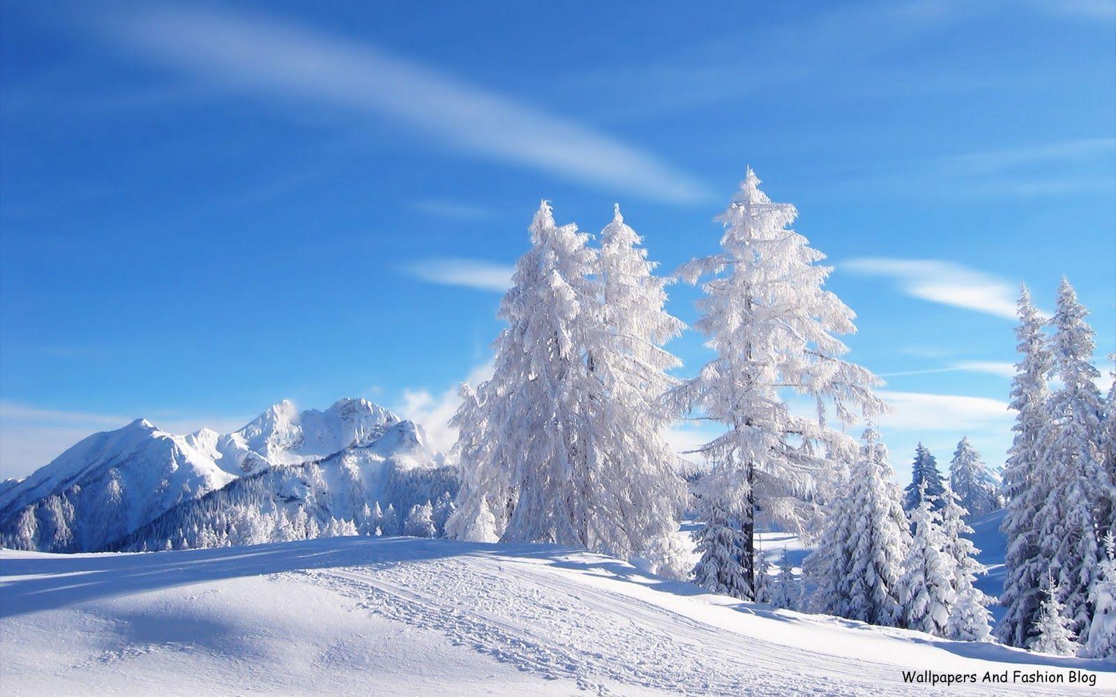 Snow Scene Wallpapers