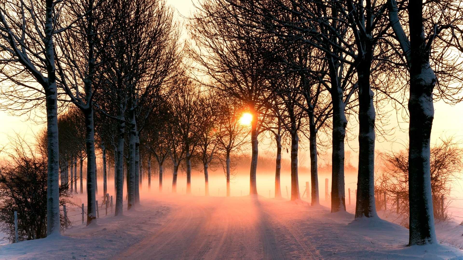 Snow Sunset Wallpapers