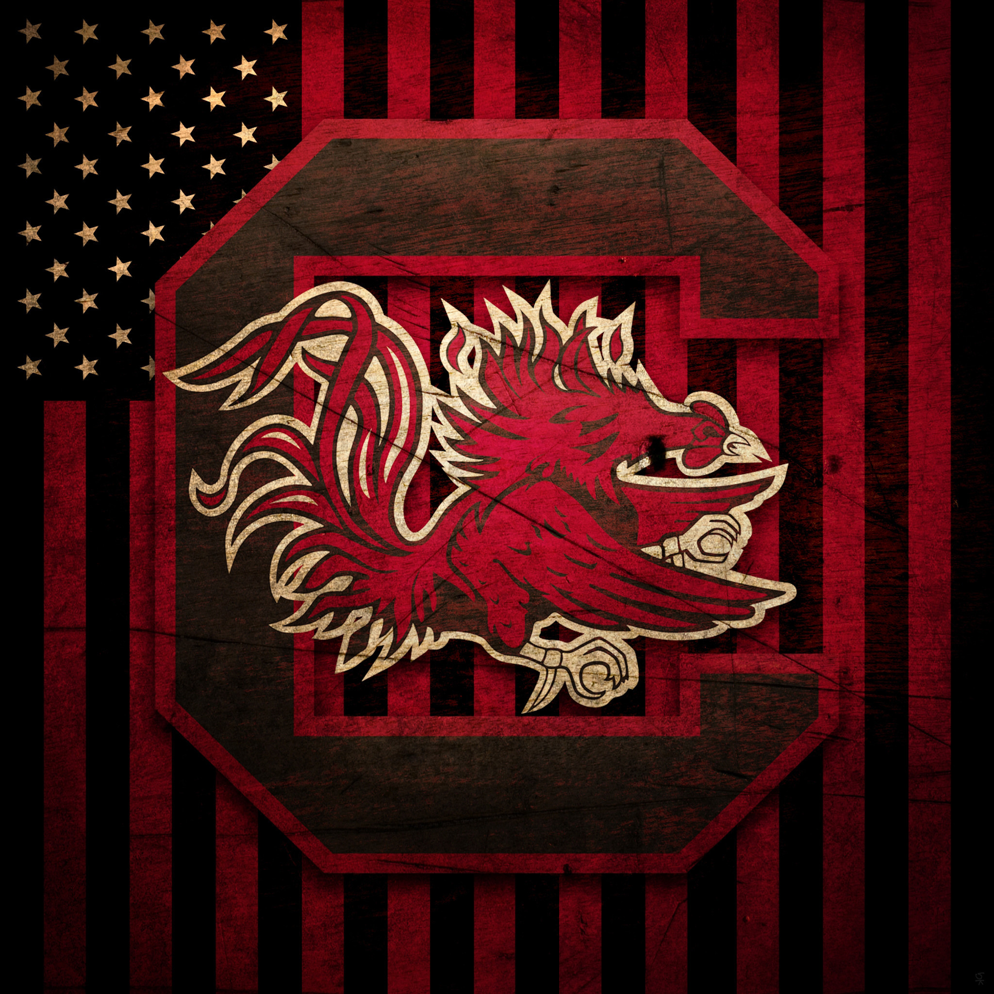 South Carolina Wallpapers