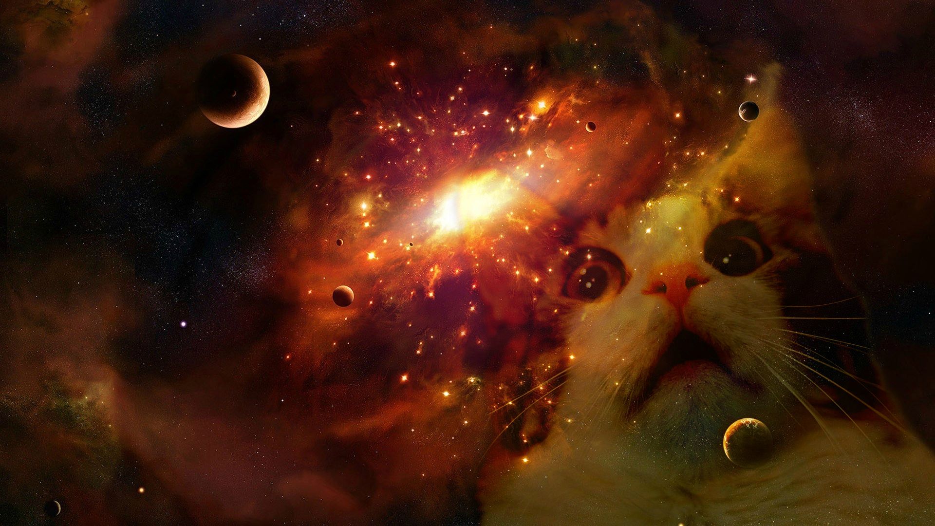 Space Cat Wallpapers