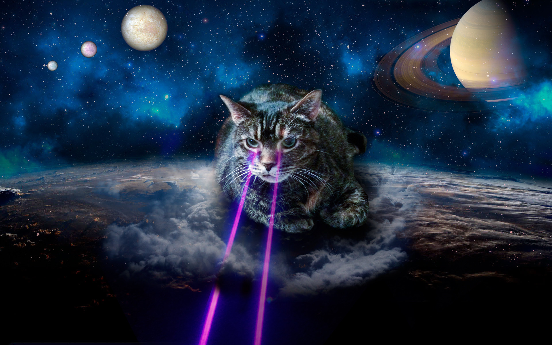 Space Cat Wallpapers