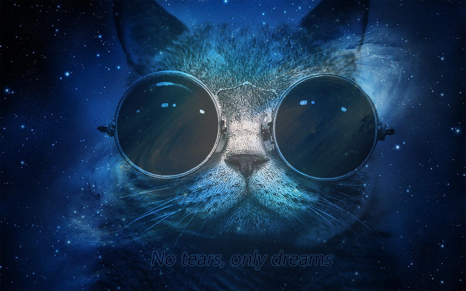 Space Cat Wallpapers