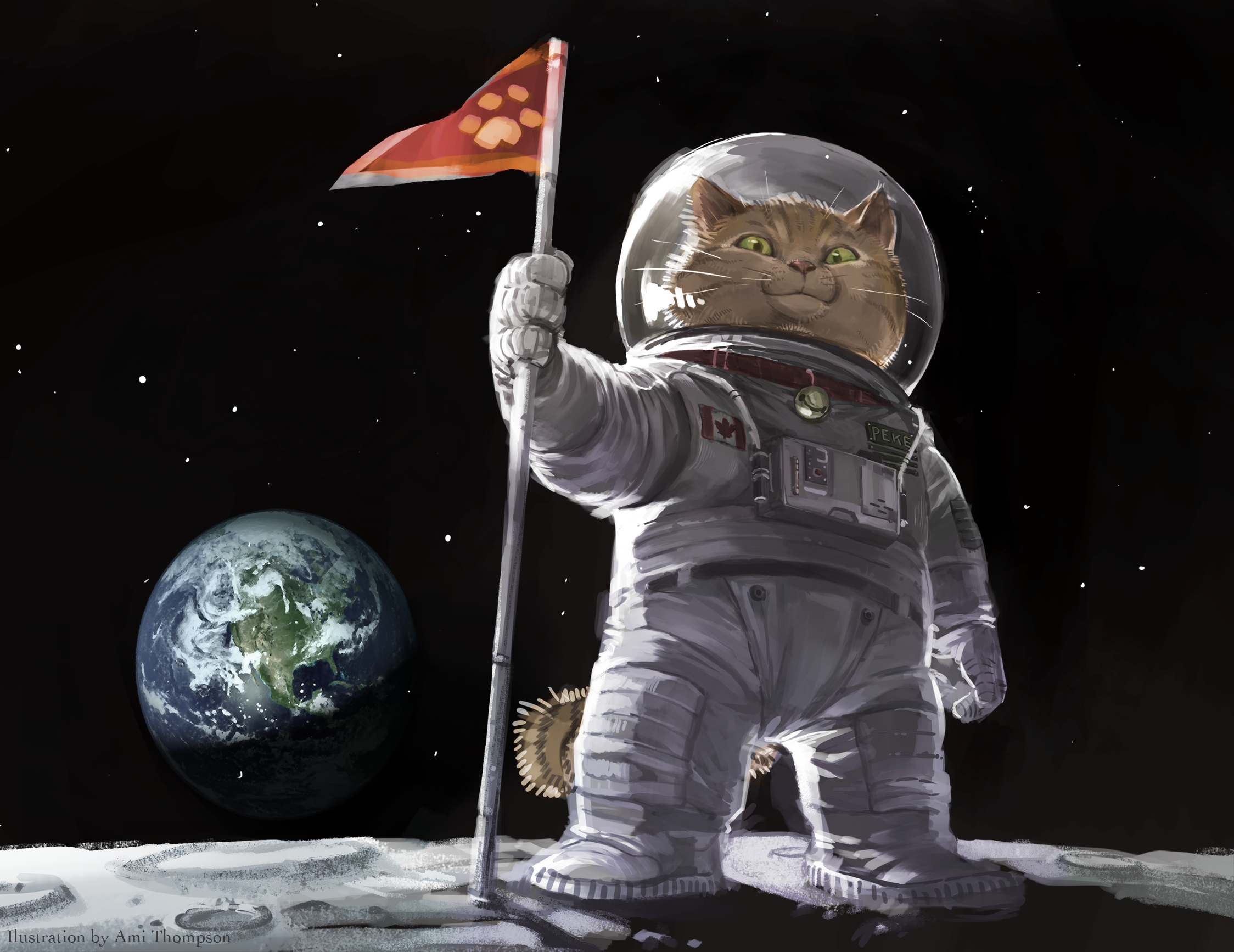 Space Cat Wallpapers