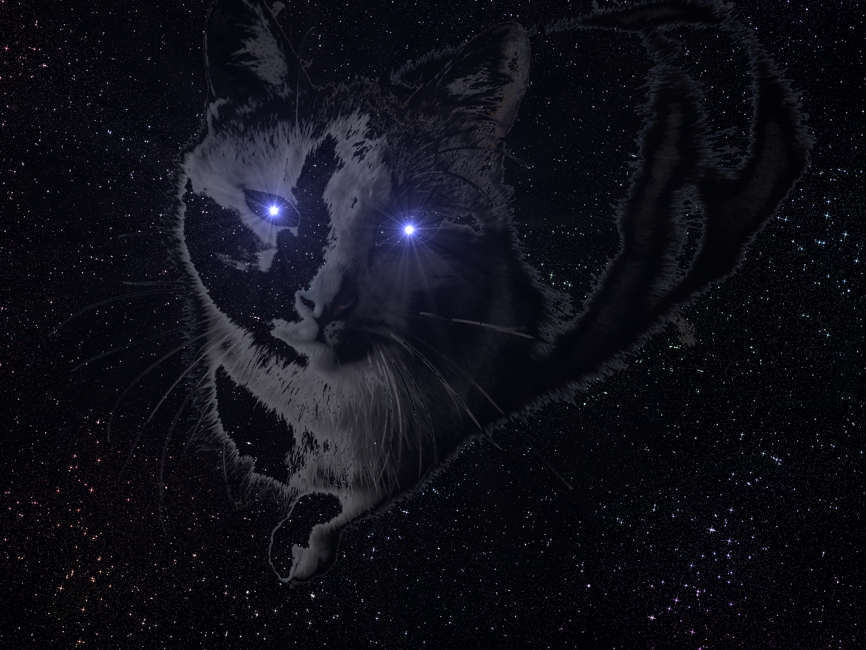 Space Cat Wallpapers