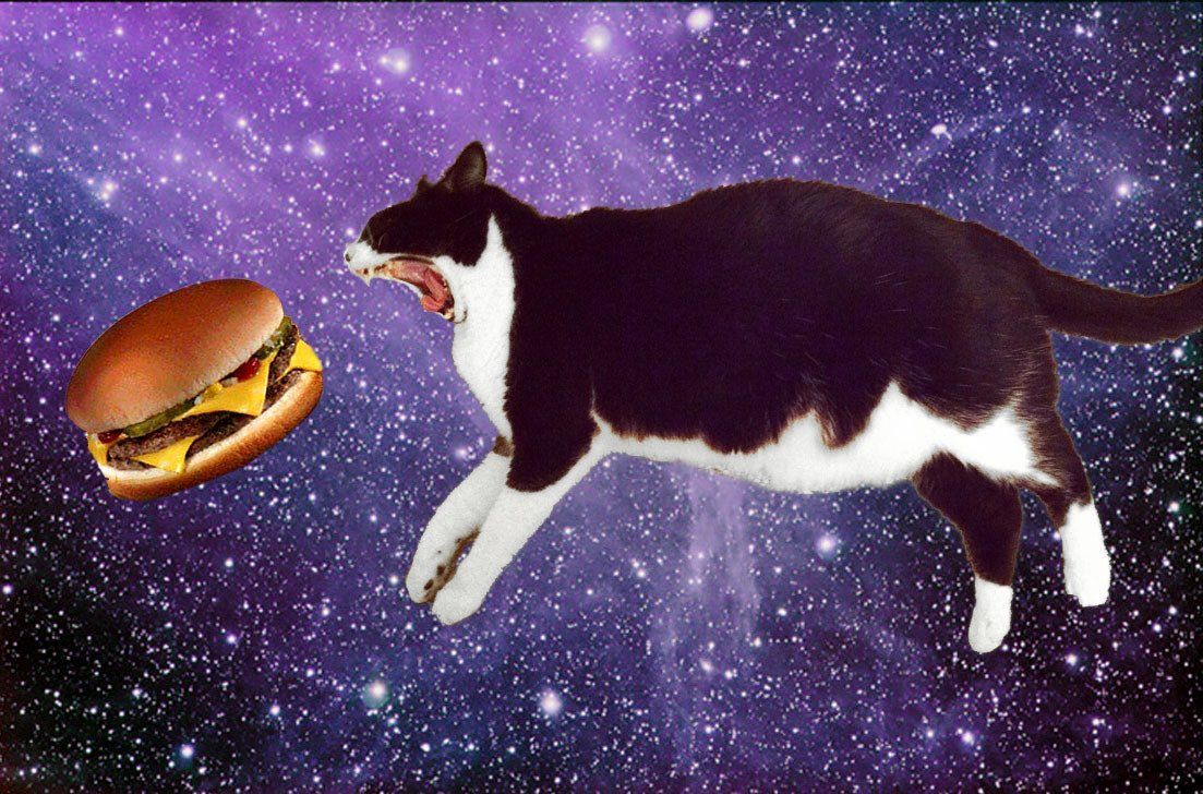 Space Cat Wallpapers