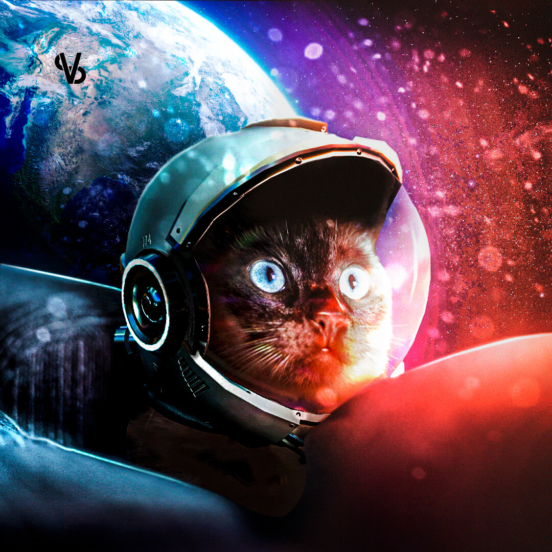 Space Cat Wallpapers