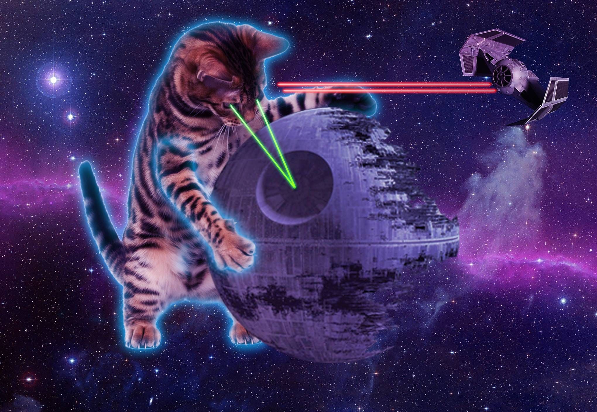 Space Laser Cat Wallpapers