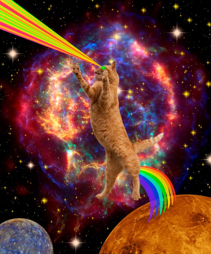 Space Laser Cat Wallpapers