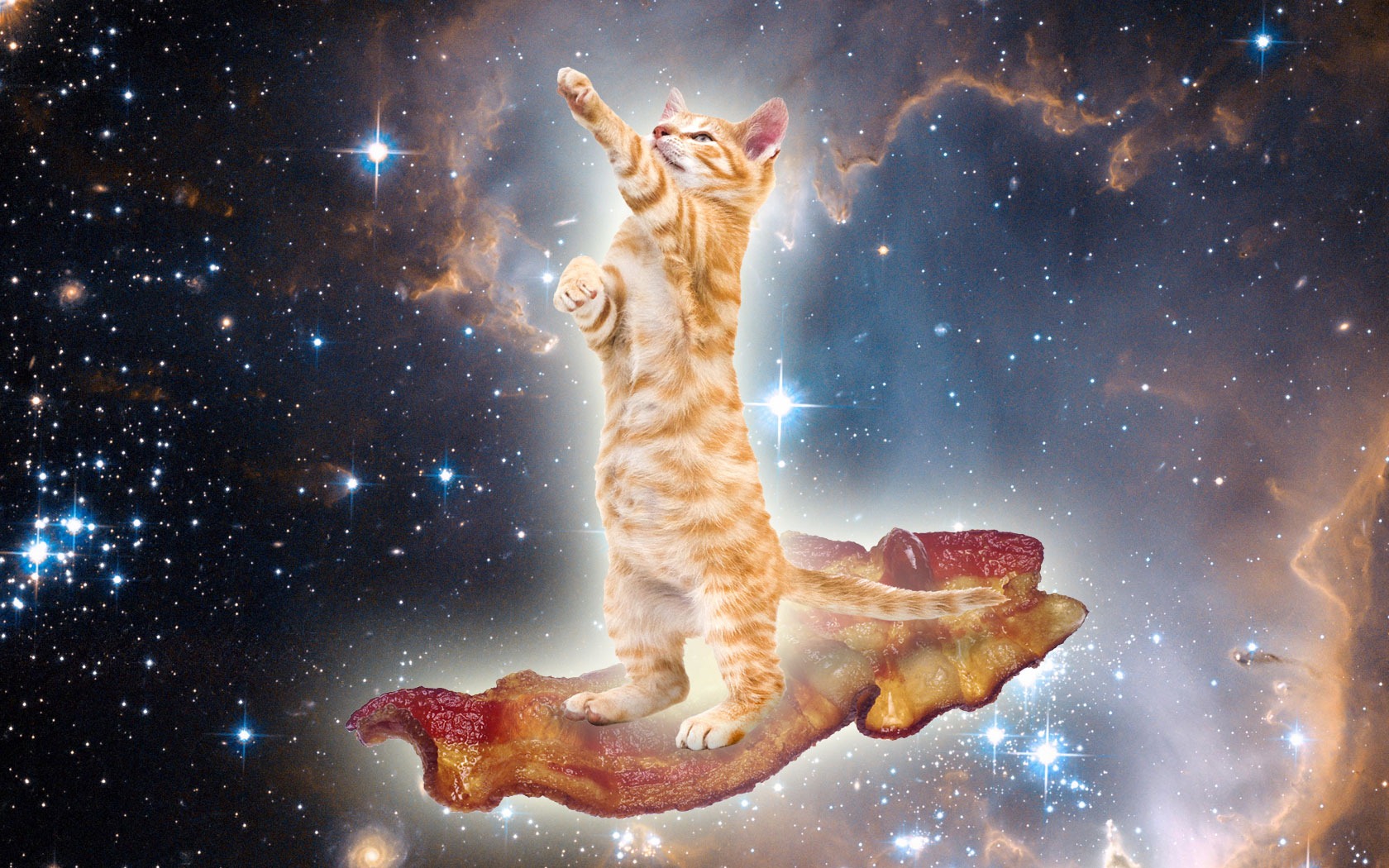 Space Laser Cat Wallpapers