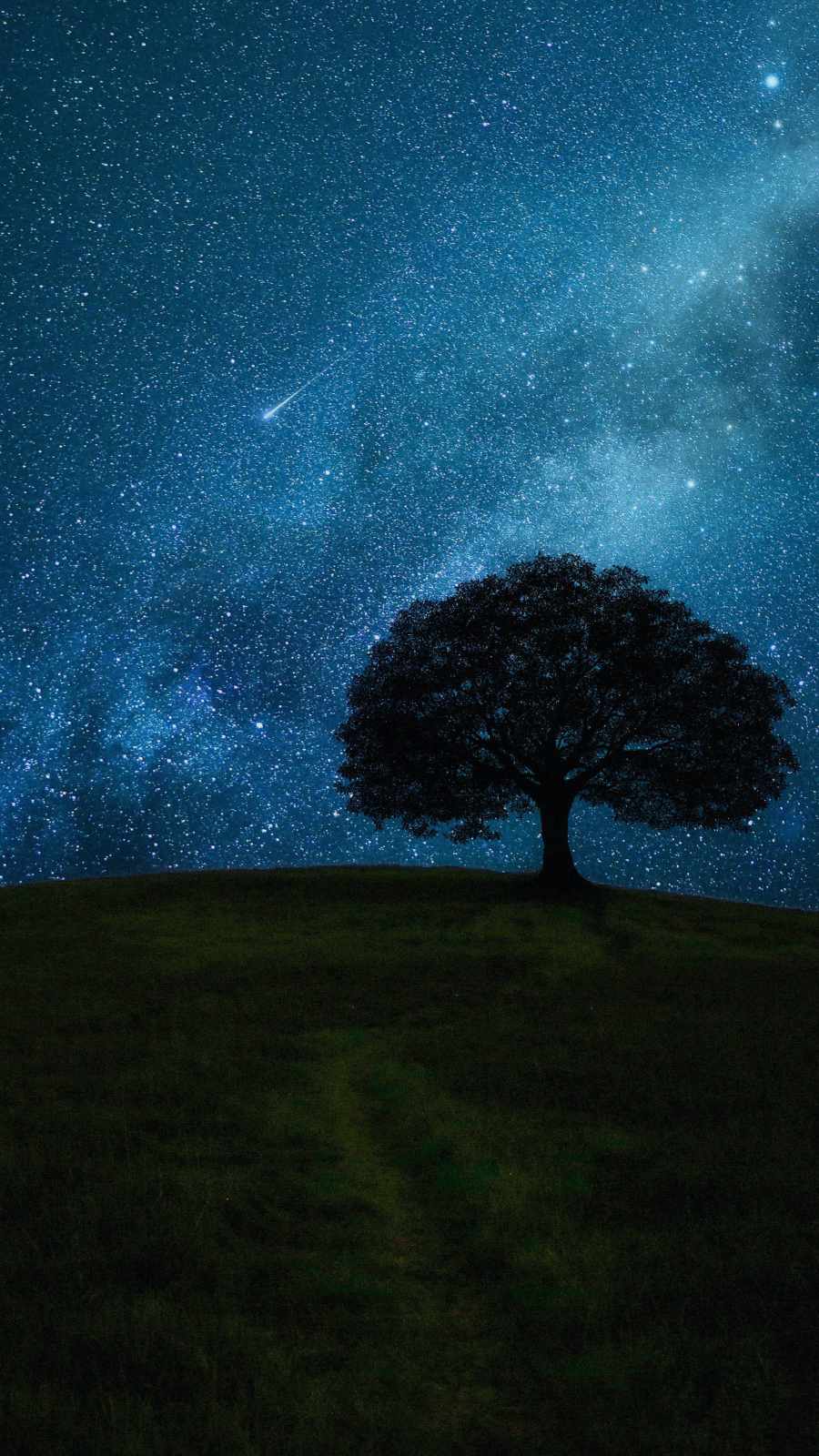 Space Tree Wallpapers