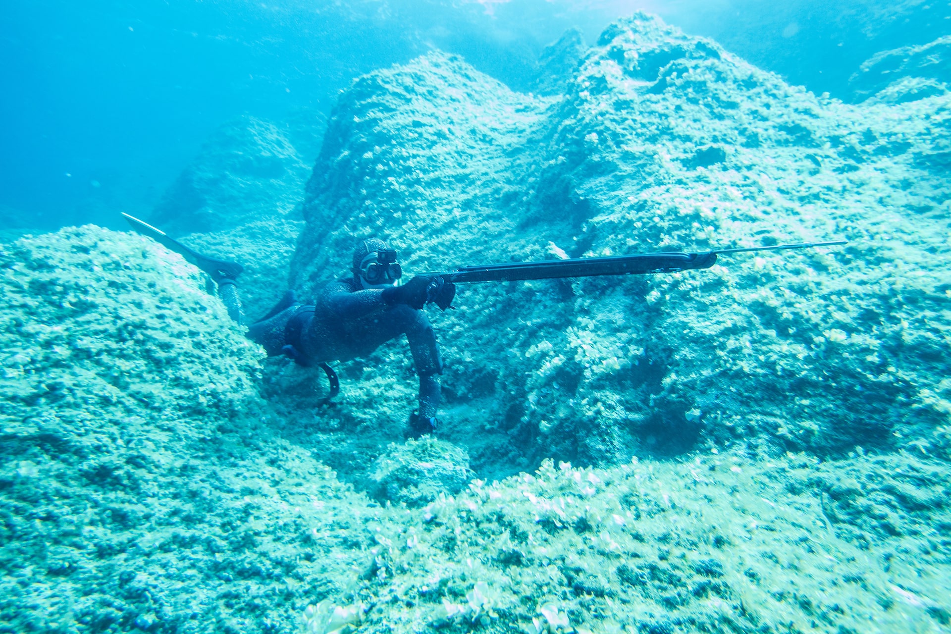 Spearfishing Wallpapers